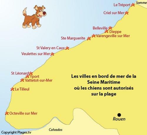 Le Kaleho, Grand Duplex Au Coeur De Dieppe - Netflix Εξωτερικό φωτογραφία